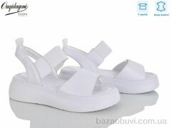 Dageni F227-2, 700.00, 8, 36-41