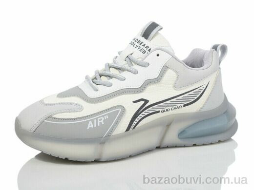 Ditof B0027-3, 14.00, 8, 36-41