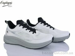 Dageni A2773-19, 680.00, 8, 41-46