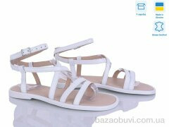 Ailinda 343-8A, 680.00, 6, 36-40