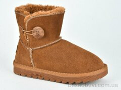 Violeta W1-101-2 coffee, 490.00, 8, 33-37