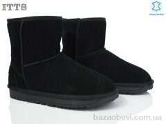 ITTS H8888, 720.00, 6, 41-45