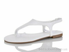 Alimama-Girnaive QQ107-2, 350.00, 8, 36-41