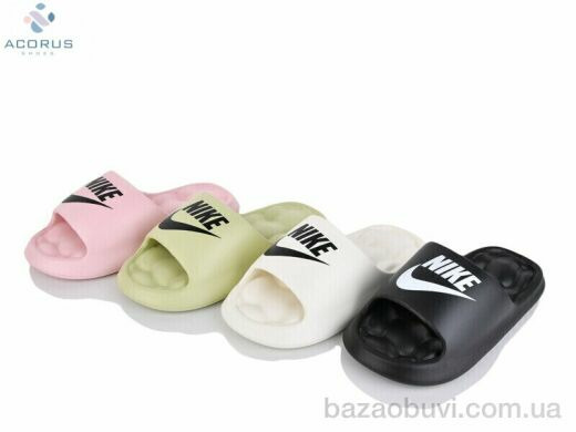 Acorus 2338 mix, 250.00, 12, 36-41