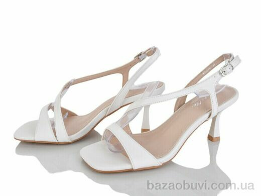 Loretta B305-4, 650.00, 6, 36-40