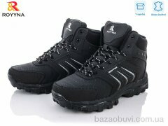 ROYYNA 063D-2-6, 30.65, 8, 37-41