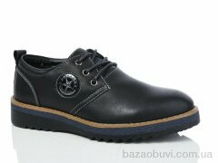 Laguna C6629, 130.00, 8, 31-36