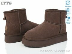 ITTS A805-24, 850.00, 6, 37-41