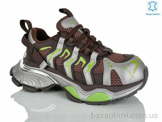 Teetspace-Trasta-Egga WDP1939-33, 35.00, 6, 36-41