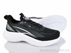 Lion-Lu B0053-1, 410.00, 8, 36-41