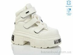 Teetspace-Trasta-Egga WXP911-26, 30.00, 8, 36-40