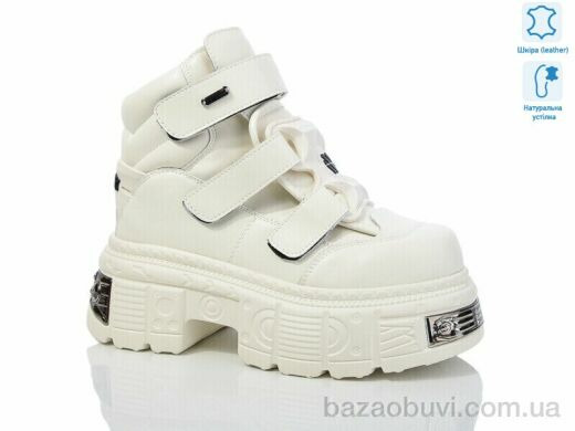 Teetspace-Trasta-Egga WXP911-26, 30.00, 8, 36-40