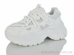 L.B. L1120-1, 750.00, 8, 36-41