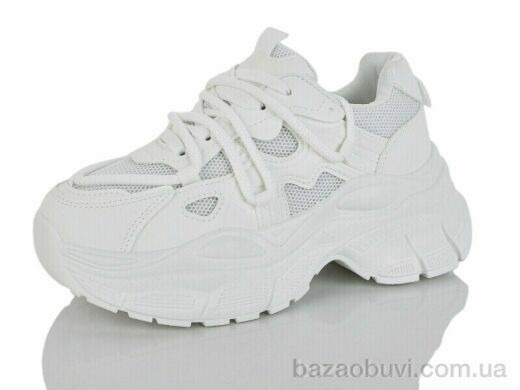 L.B. L1120-1, 750.00, 8, 36-41