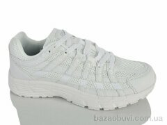 Katyo B2605-1, 17.50, 8, 36-41