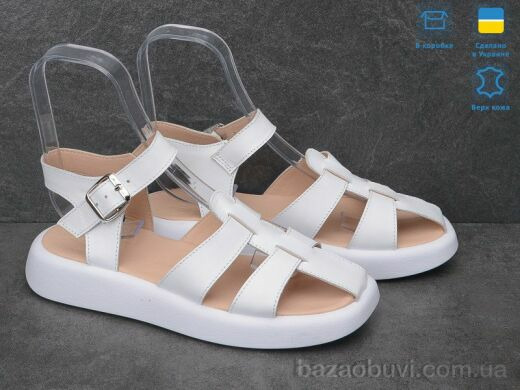 Ailinda 717-8, 640.00, 6, 36-40