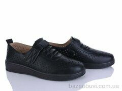 Lion-Lu 2024-14, 350.00, 8, 36-41