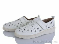 Lion-Lu 2024-16, 350.00, 8, 36-41