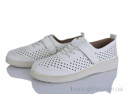 Lion-Lu 2024-16, 350.00, 8, 36-41