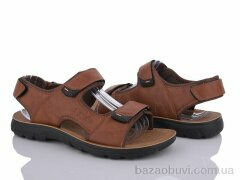 Baolikang A888 brown, 330.00, 8, 40-45