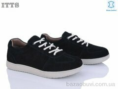 ITTS CK19-2, 22.00, 6, 36-41