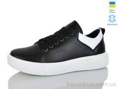 Carolina K225-3, 500.00, 6, 36-40