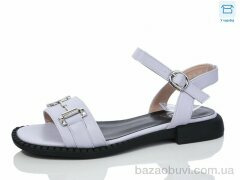 Hongquan B12-6, 490.00, 8, 36-41