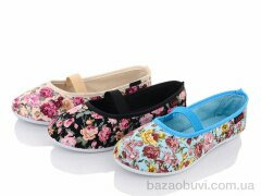 Lion 251-103 mix, 40.00, 24, 31-36