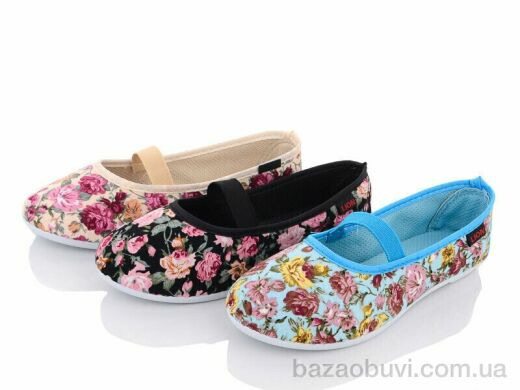 Lion 251-103 mix, 40.00, 24, 31-36