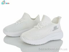 BBT F781-2-2, 290.00, 12, 26-31