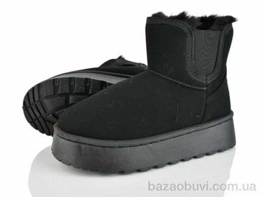 Xifa F566-2, 485.00, 10, 36-41