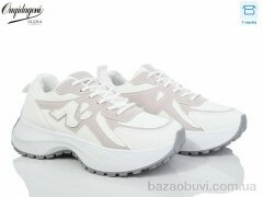 Dageni X819-2, 590.00, 8, 37-41