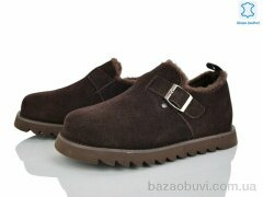 Violeta M2202-6, 1315.00, 8, 36-41