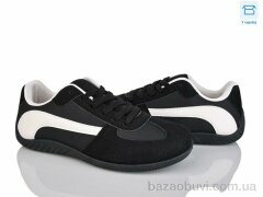 Xifa A85-2, 480.00, 8, 36-41