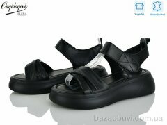 Dageni F231-1, 700.00, 8, 36-41