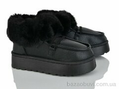 Xifa F555-1, 485.00, 10, 36-41