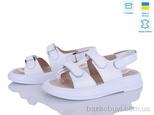 Ailinda 718-8A, 870.00, 6, 36-40