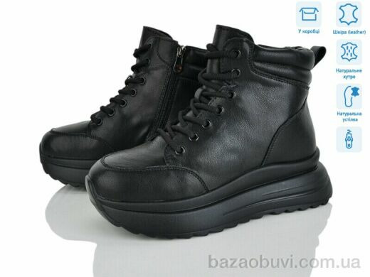 Мир 4256-CE083-6, 790.00, 6, 36-41