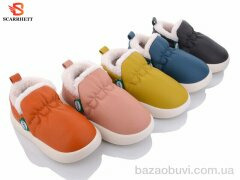 SCARRHETT-PLAAZZO 2561 mix, 320.00, 10, 30-35