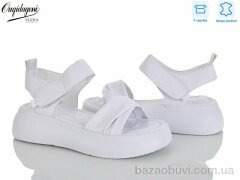 Dageni F231-2, 700.00, 8, 36-41