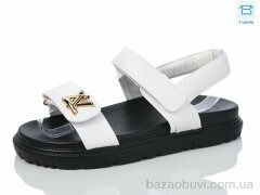 Hongquan B10-2, 660.00, 8, 36-41