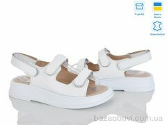 Ailinda 626-8A, 730.00, 6, 36-40