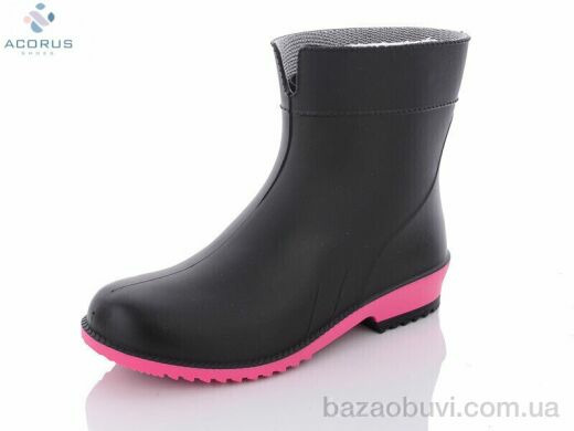 Acorus Lt371, 280.00, 6, 37-41