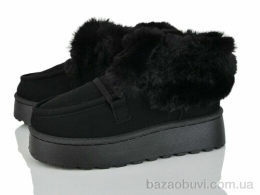 Xifa F555-2, 485.00, 10, 36-41