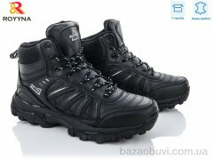 ROYYNA 062C-6-43, 30.00, 8, 41-46