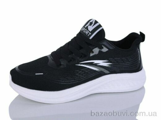 Ditof B0078-1, 11.00, 8, 36-41