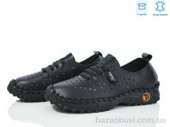 Захар-Gold 0T16-1, 340.00, 8, 36-41