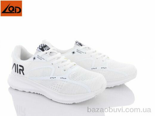 LQD W102-3, 300.00, 8, 36-41