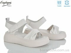 Dageni F231-3, 700.00, 8, 36-41