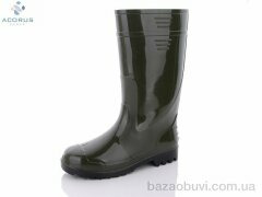 Acorus LT003-1, 410.00, 6, 41-45